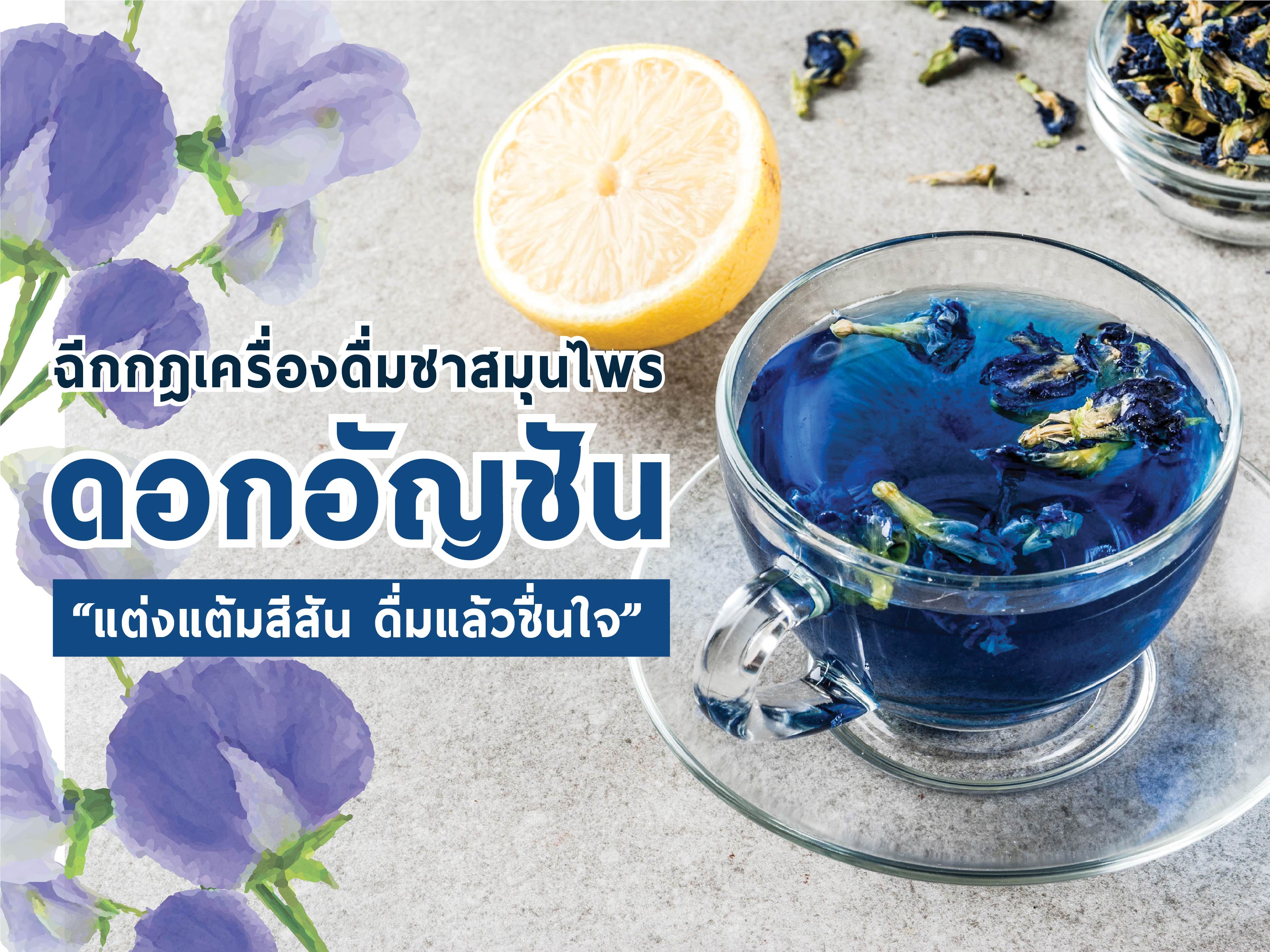 Images/Blog/VUhoeGgv-Butterfly Pea tea-01-01.jpg